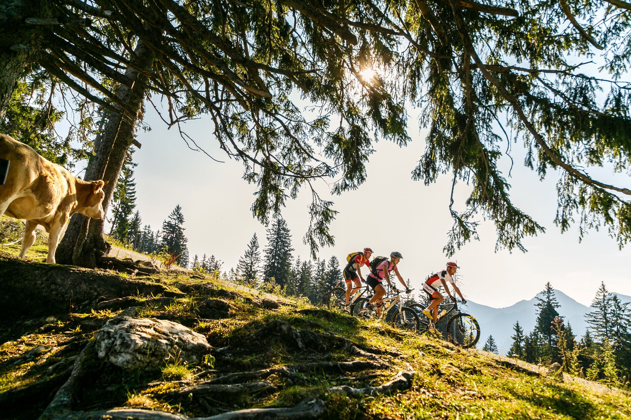 mtb4_2_1_2_1