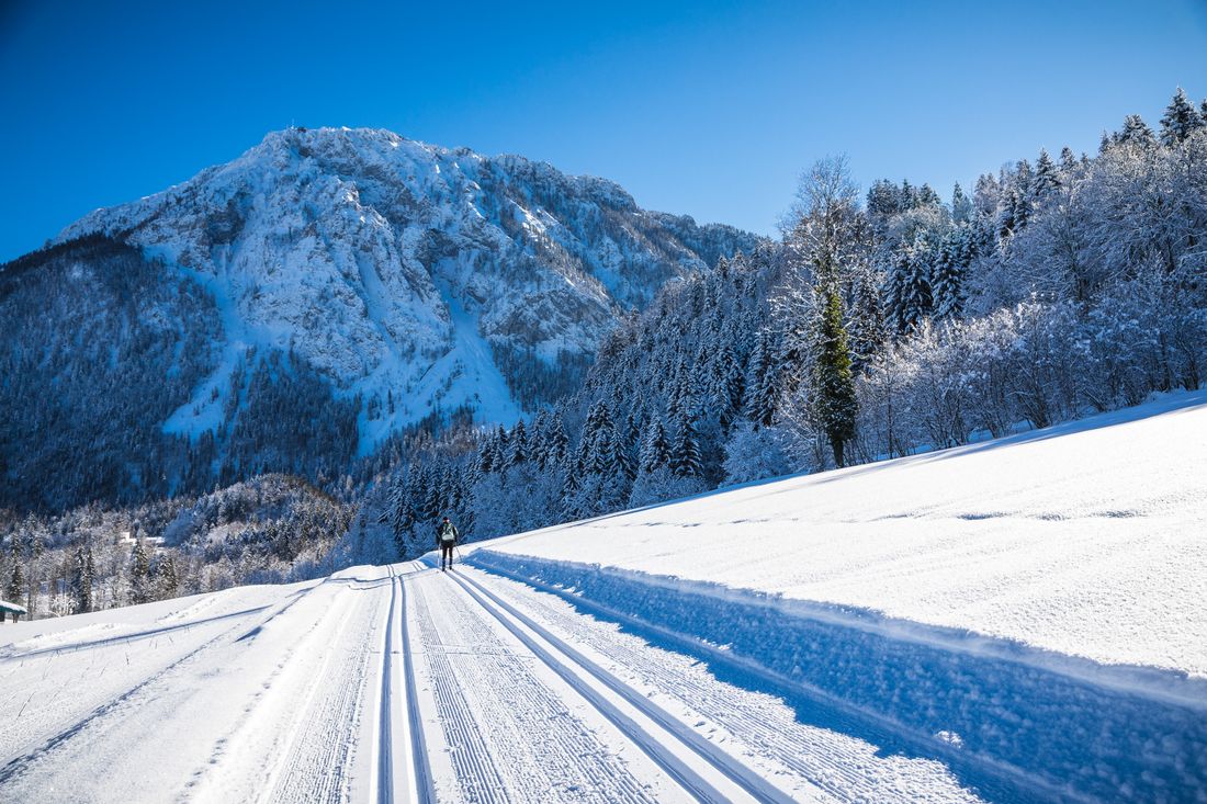 NQ8A8360_Andreas Plenk (3).jpg