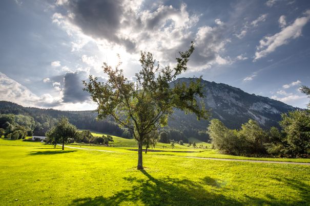 Landschaft Ruhpolding