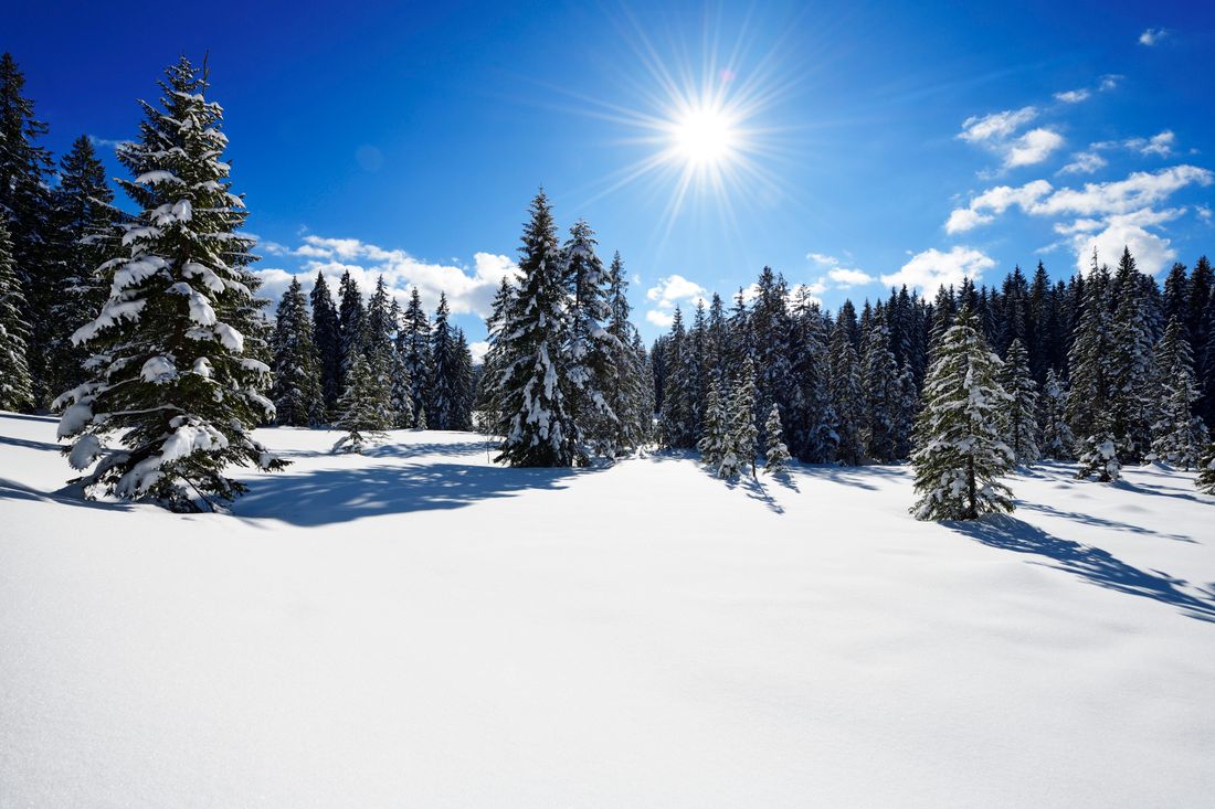Winterlandschaft Winklmoos