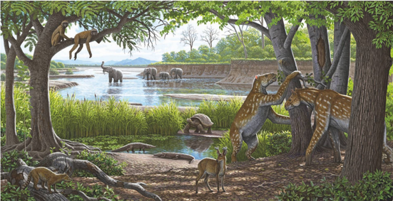Molassic Park