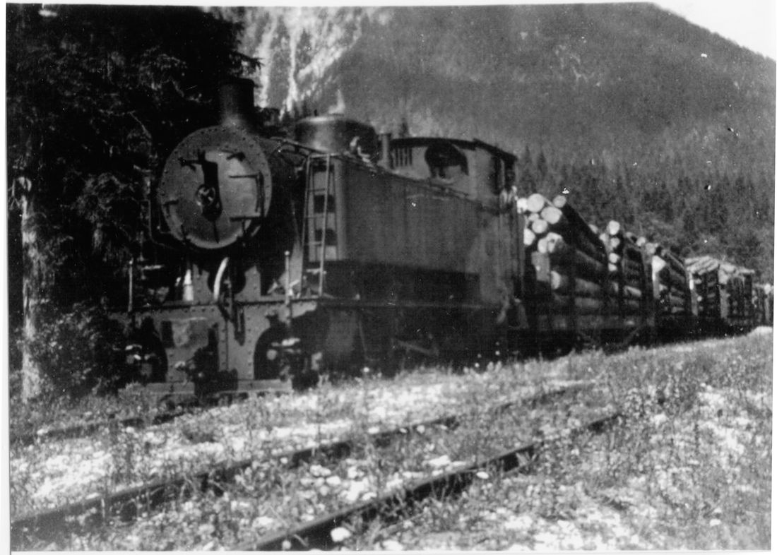 Historische Waldbahn transportiert Holz