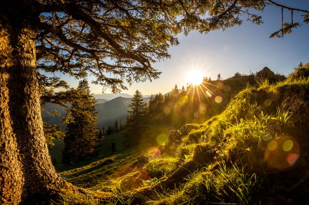 Sonnenuntergang auf der Haaralmschneid