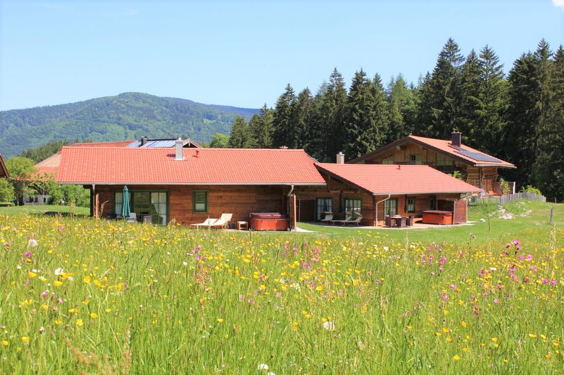 Chalets in mitten der Natur