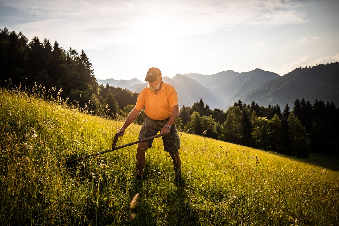 Gas mit einer Sense schneiden