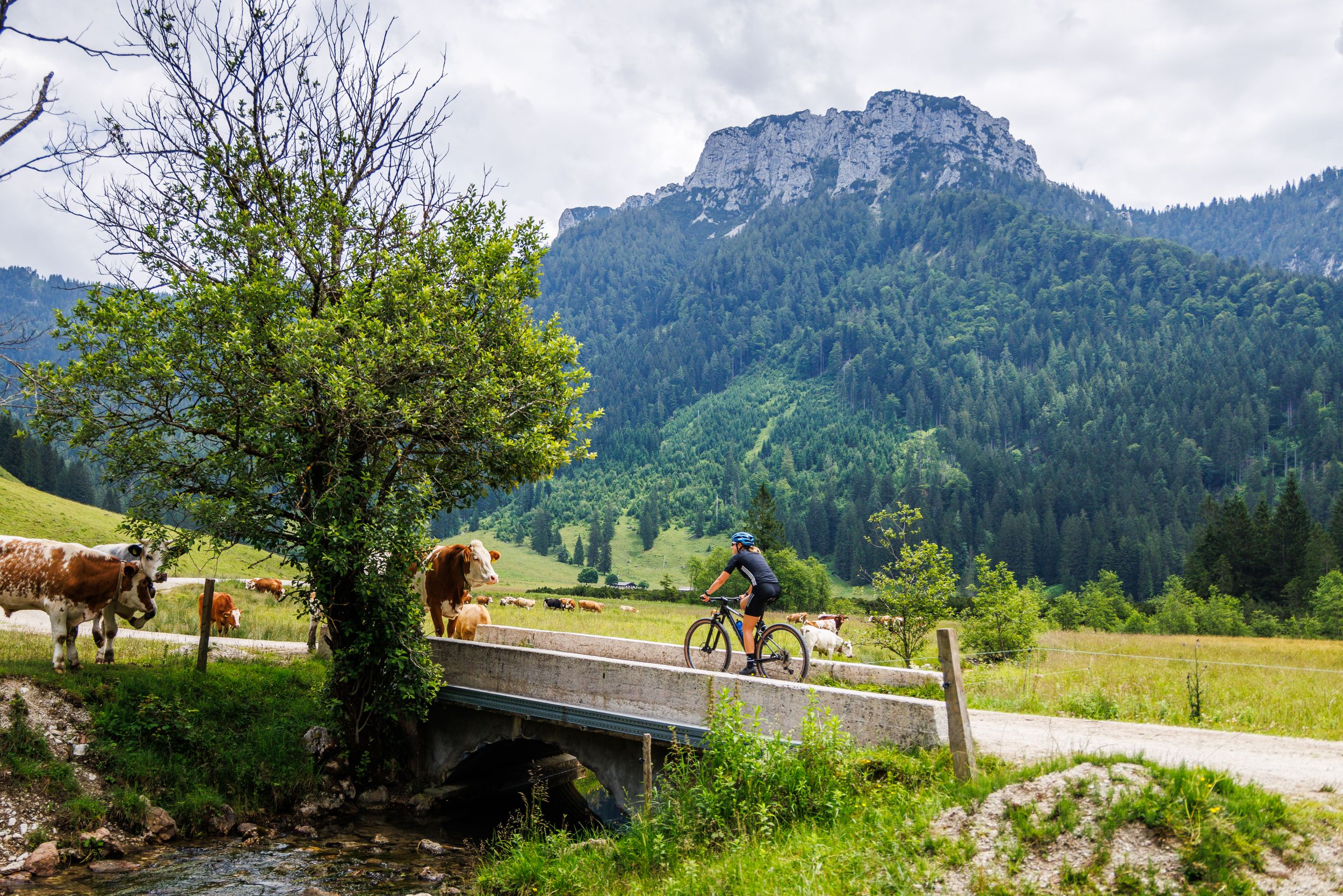 Franziska Preuß Naturschutzgebiet Röthelmoos