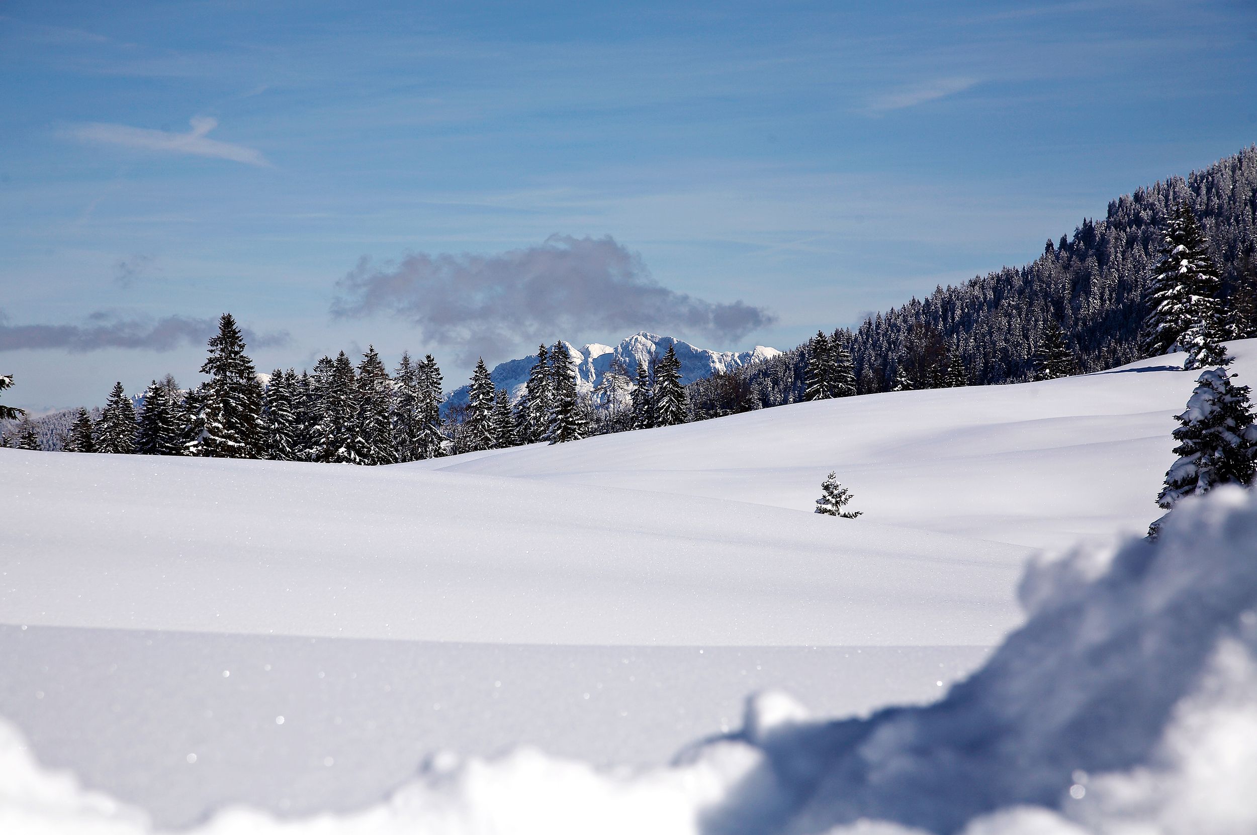 Winterlandschaft Hemmersuppenalm