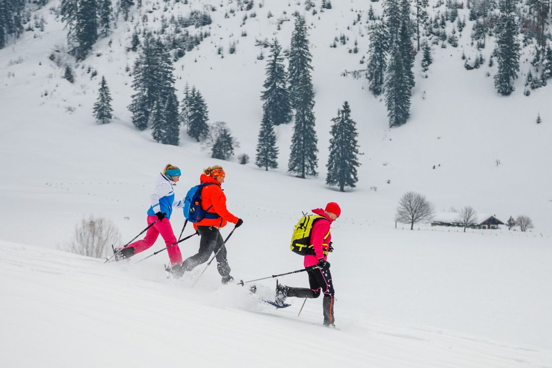 Abwärts mit Schneeschuhen