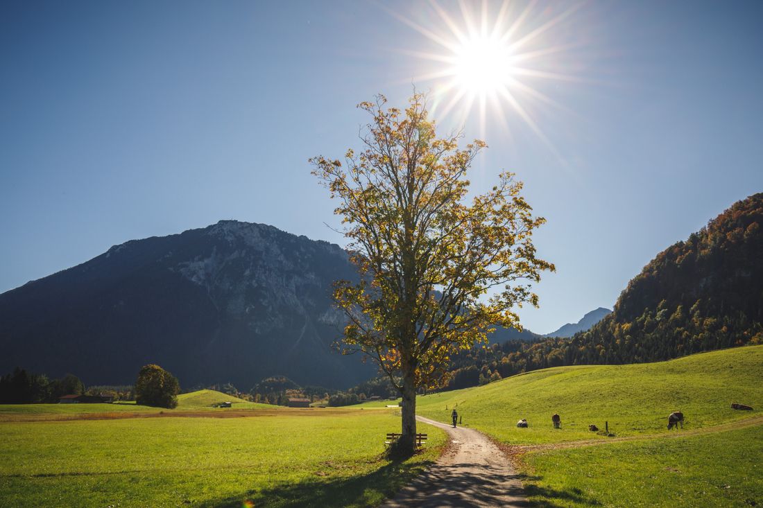Aussicht