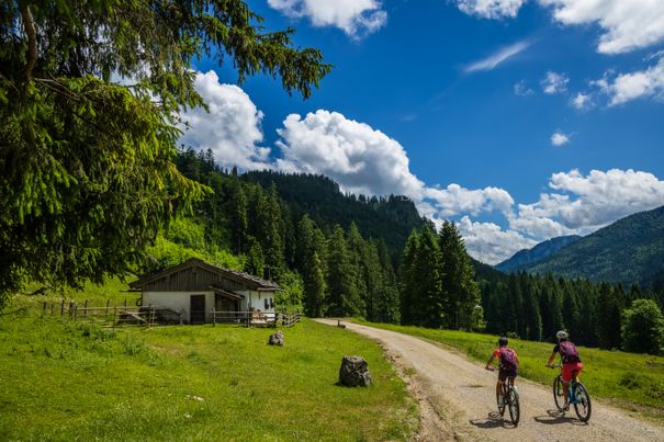 Radfahrer Eschelmoos