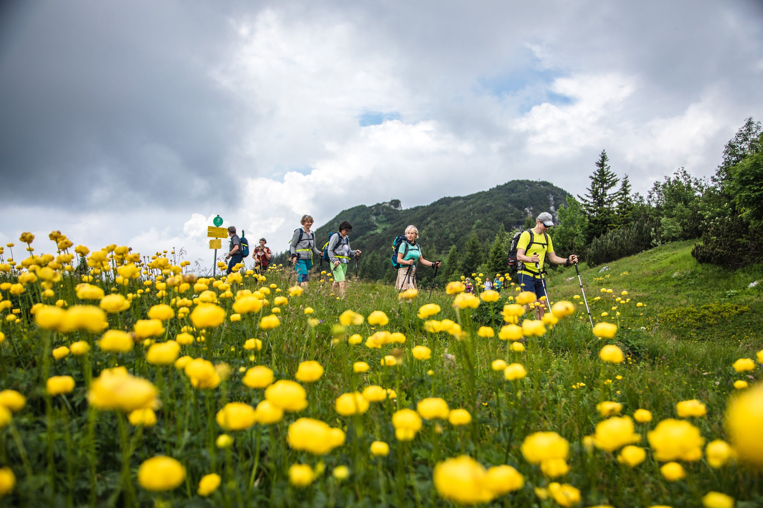 Wandergruppe Hörndlwand