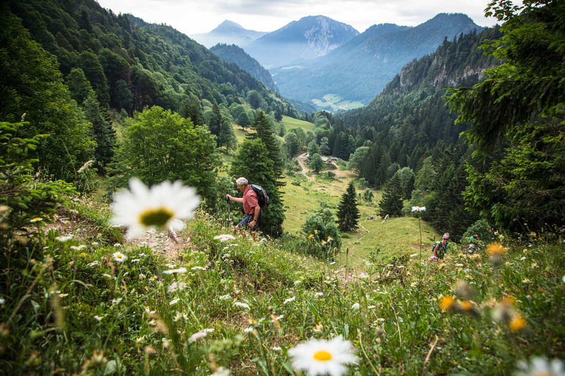 Blicks ins Tal auf Blumen und einen aufsteigenden Wanderer.