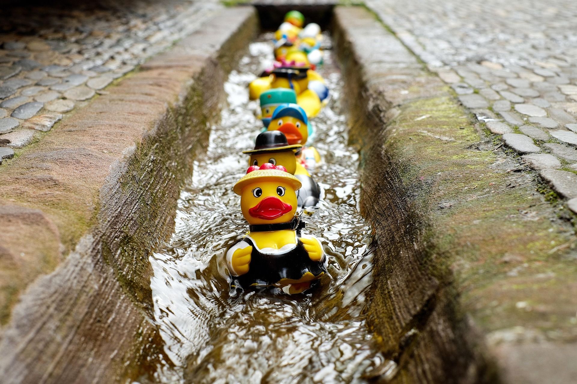 Badeenten