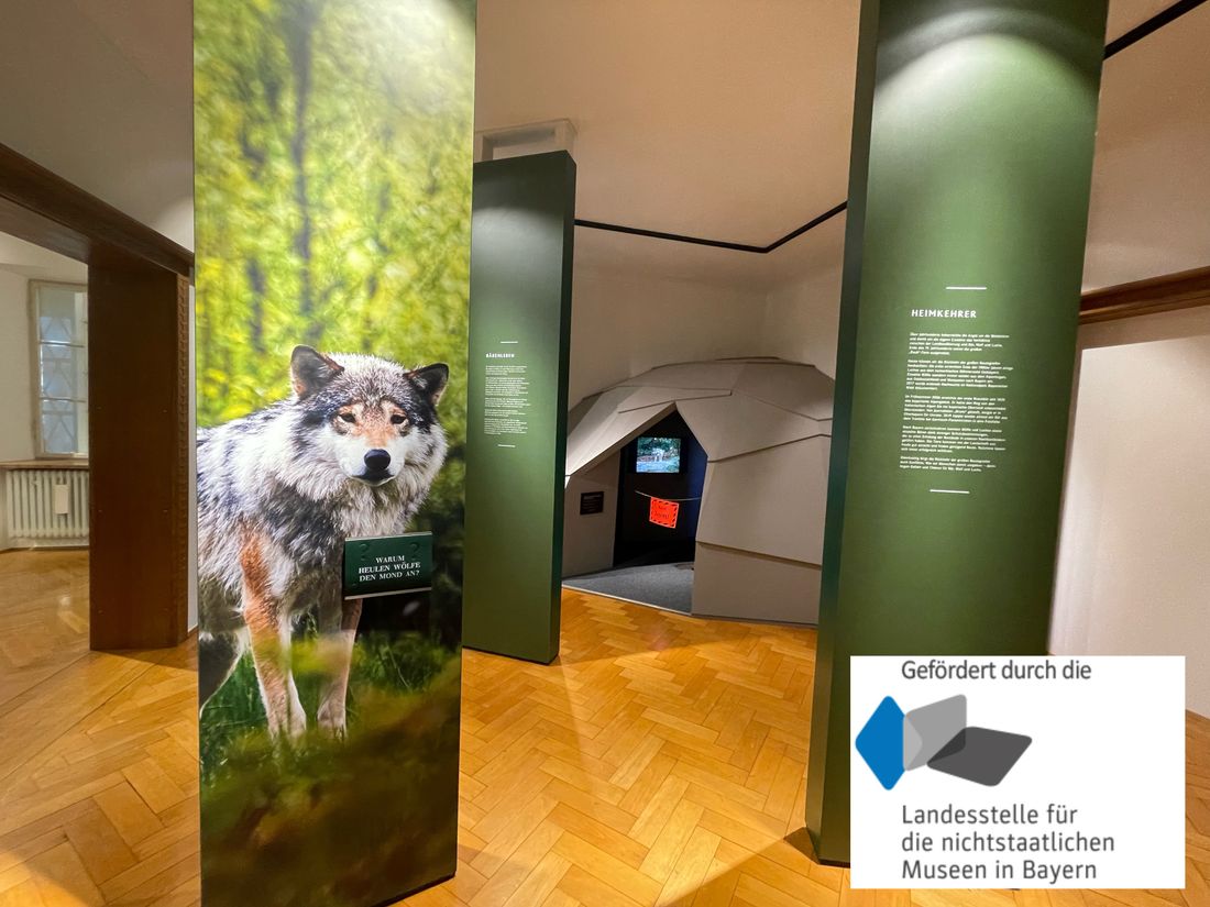 Heimatmuseum_Wölfe