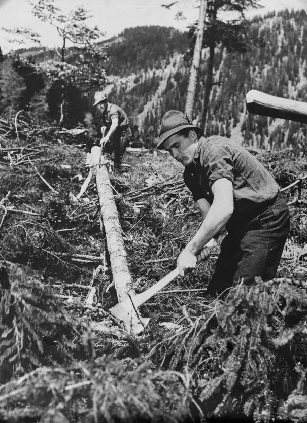 Holzknechte