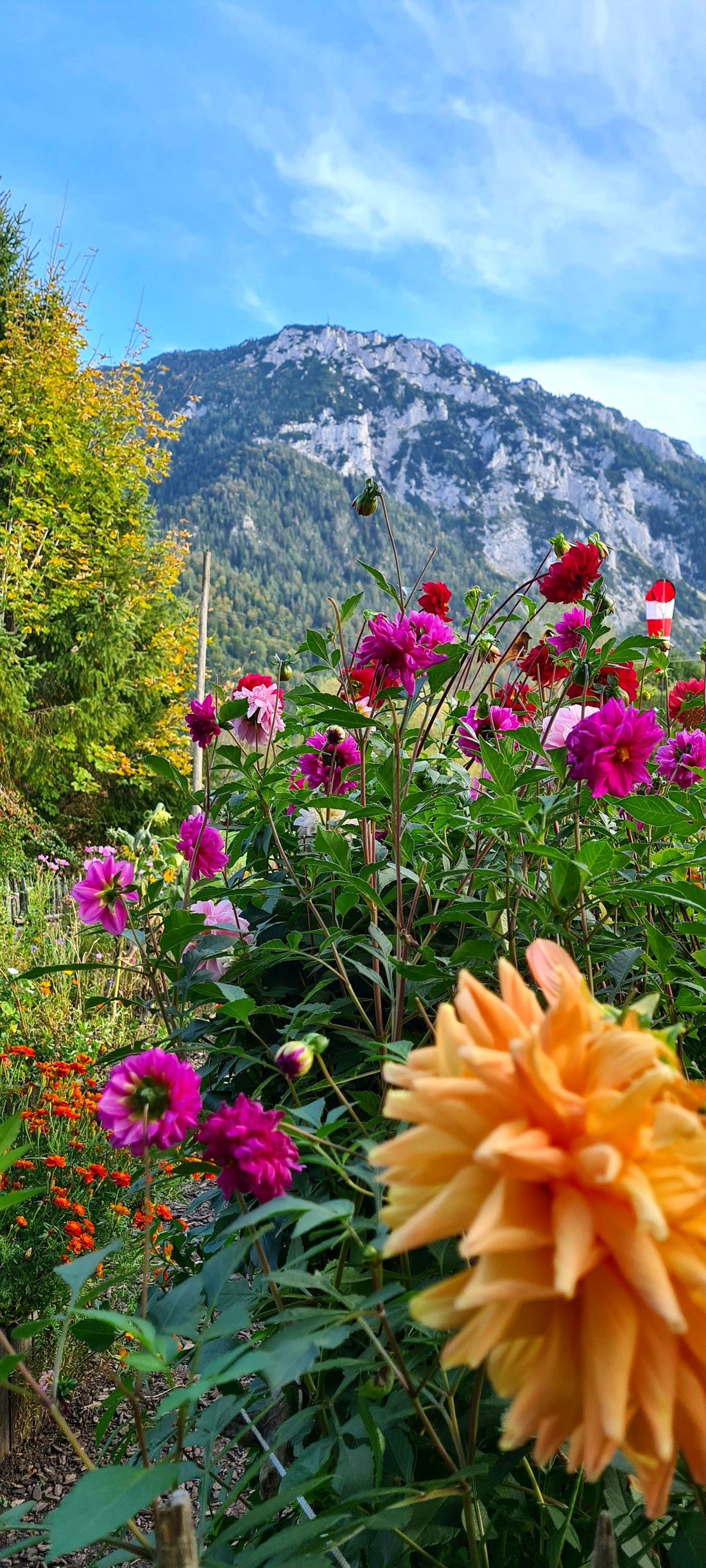 Blick auf Rauschberg von Terrasse