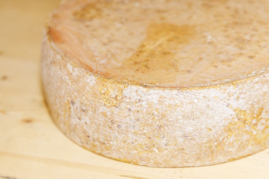 Ein gereifter Käselaib