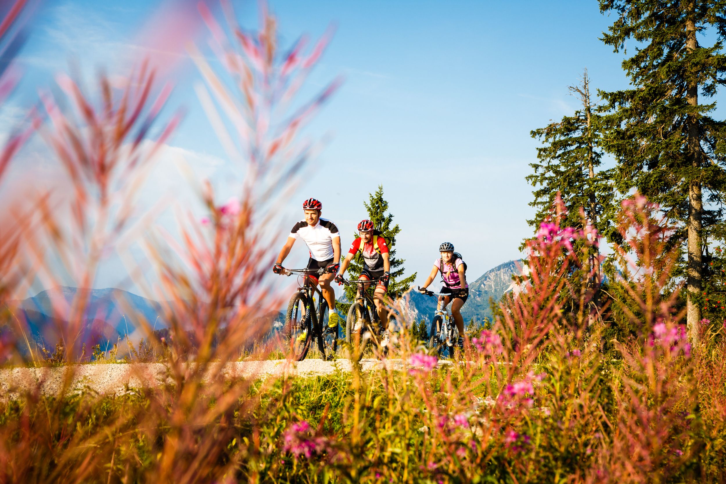 Mountainbiken in Ruhpolding