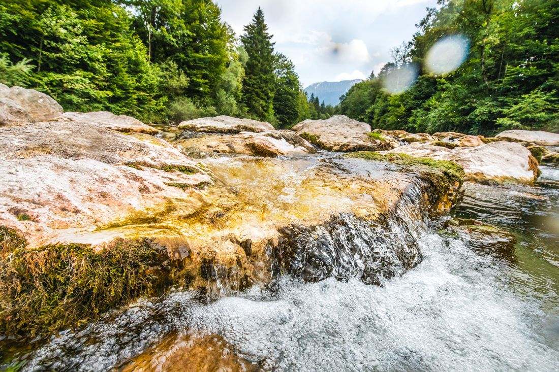 Kneippen in den Traunauen 
