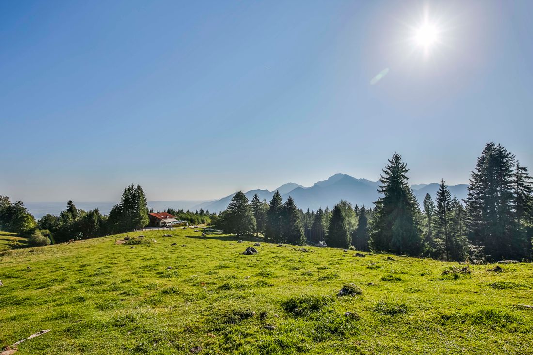 hochplatte-marquartstein-almwiese-sommer