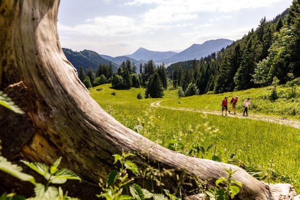 Wandern in Ruhpolding