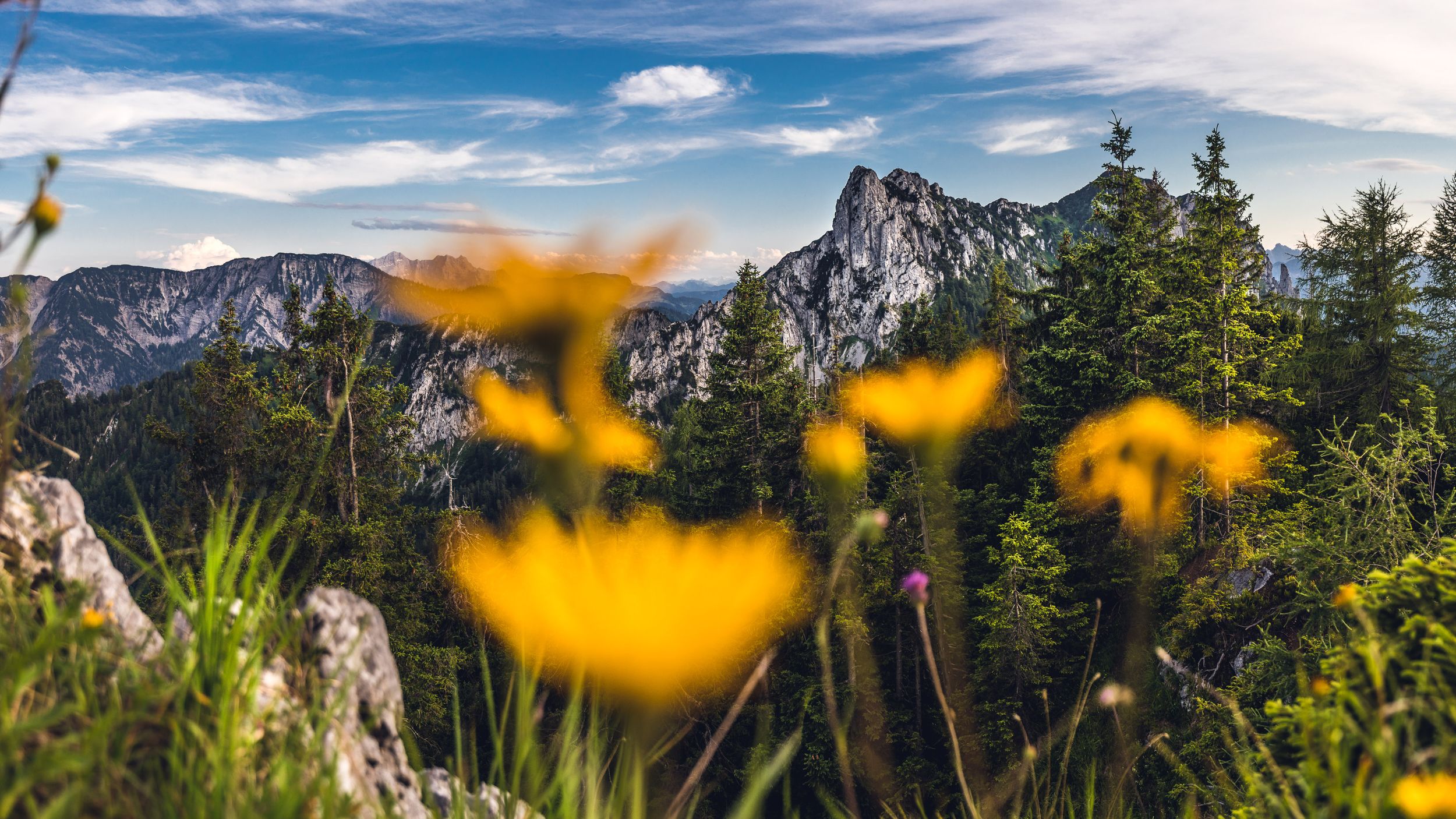 Blick zur Hörndlwand