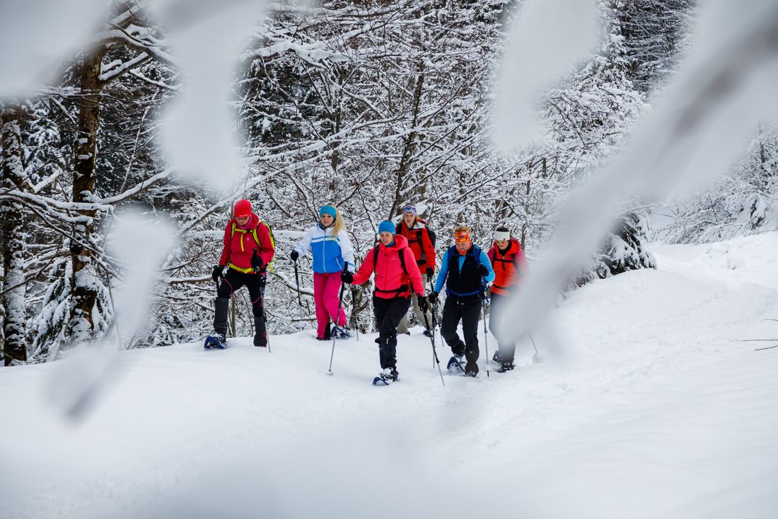 Schneeschuhgehen im Winterwald