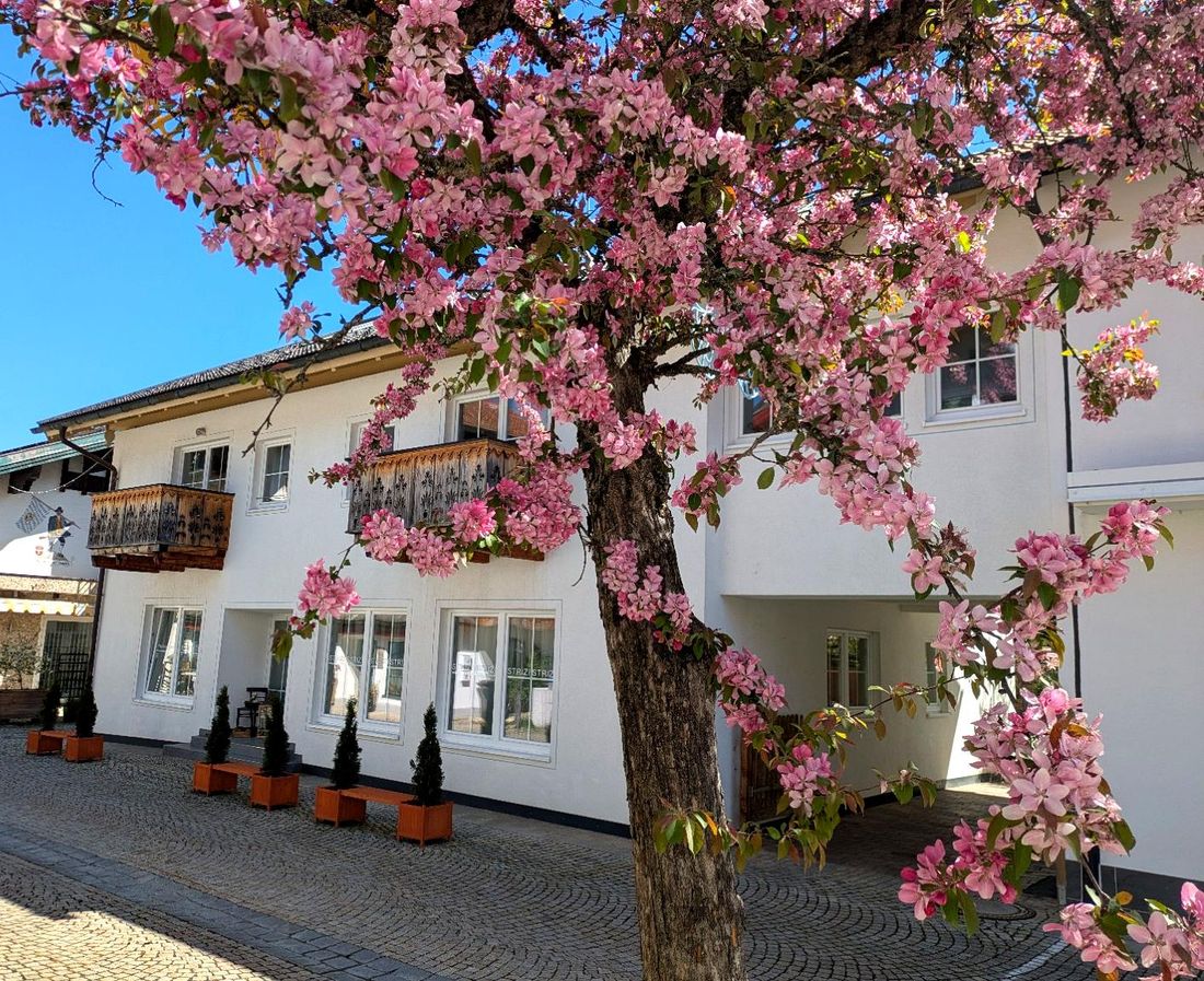 Aussenansicht Frühling