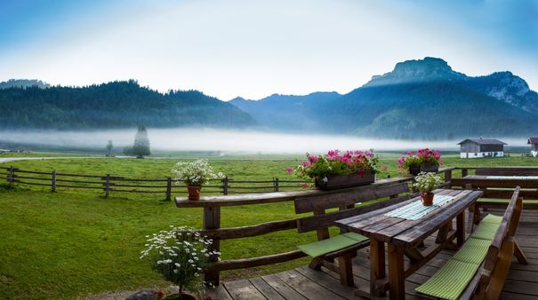 Langerbauer Alm im Naturschutzgebiet Röthelmoos