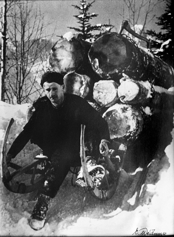 Holzknecht fährt im Winter Baumstämme mit dem Schlitten hinunter