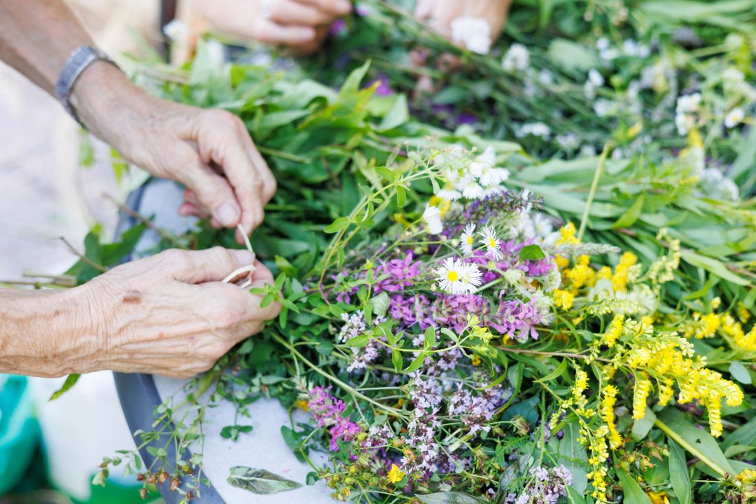 Kräuterstrauß binden