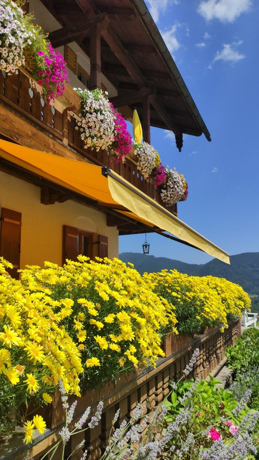 Blütenpracht am Bauernhaus mit 3 Ferienwohnungen (Alpenpanorama, Puppenstübchen, Talblick) am Obersteinberg-Hof Ruhpolding