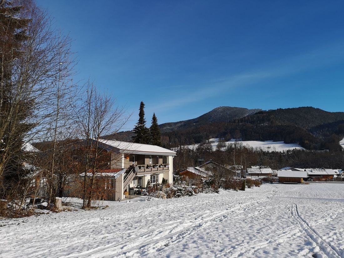 Langlaufski-Spuren und Schlittenfahren im Schnee vorm Haus