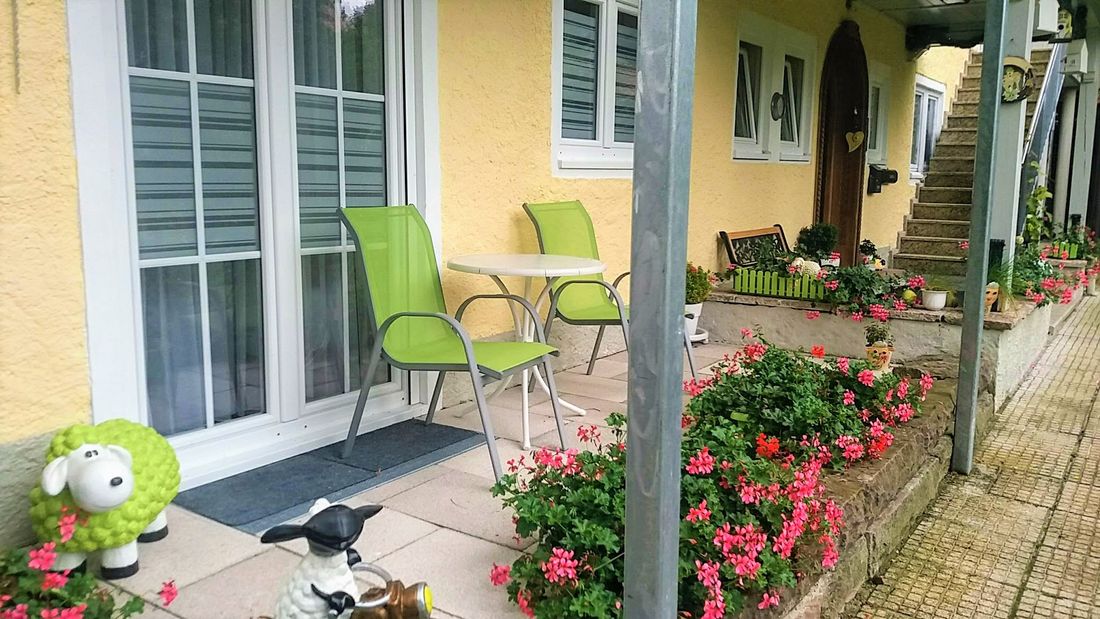 Eingangsbereich mit Schafen