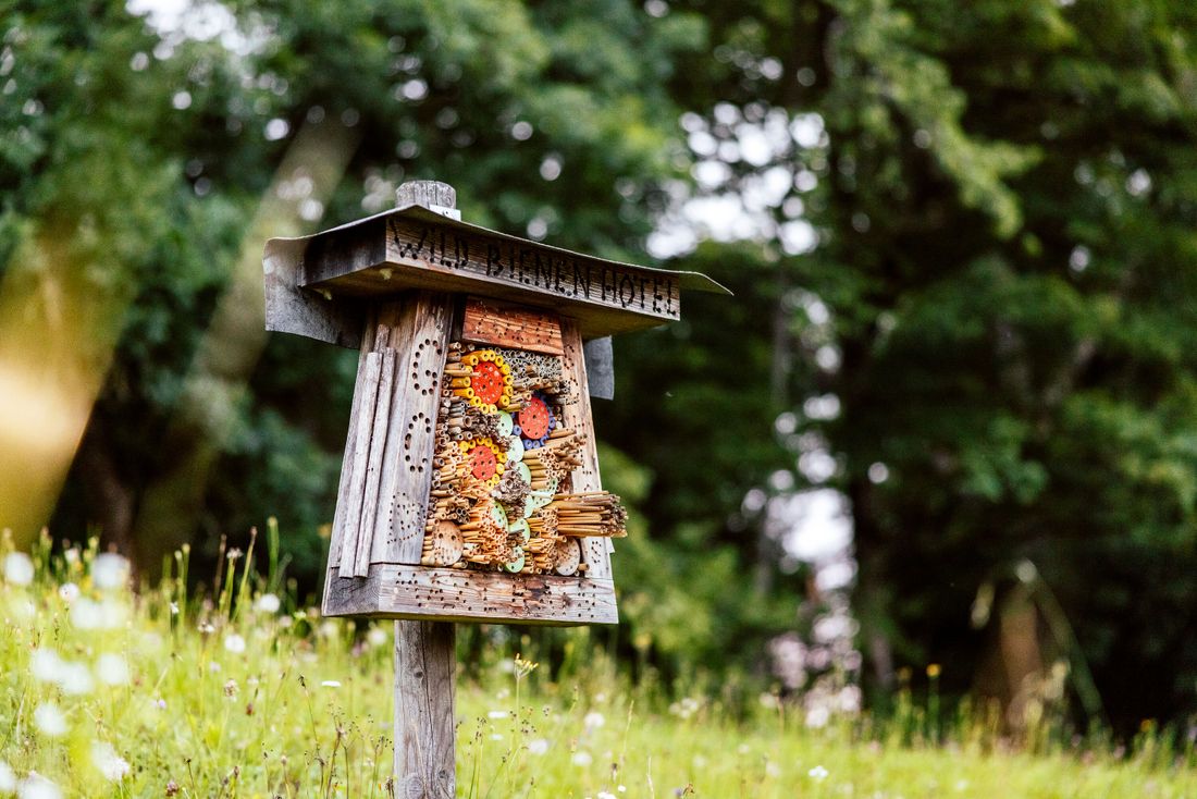 Insektenhotel_Golfclub_Maxlrain