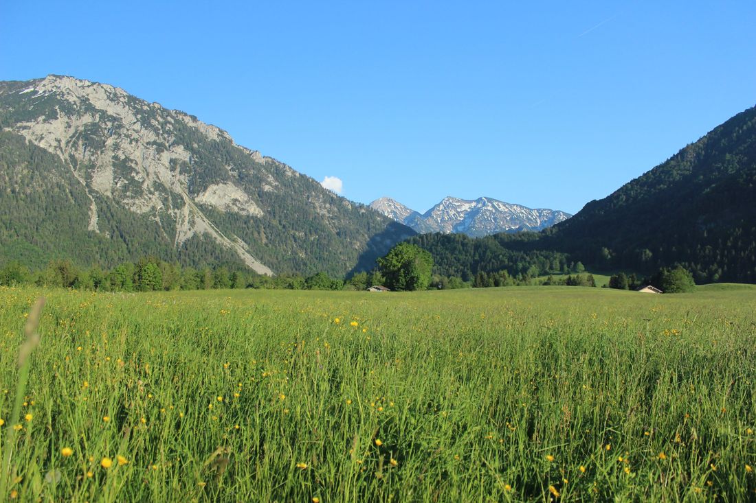 Sommer