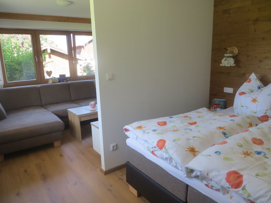 Wohn-Schlafzimmer