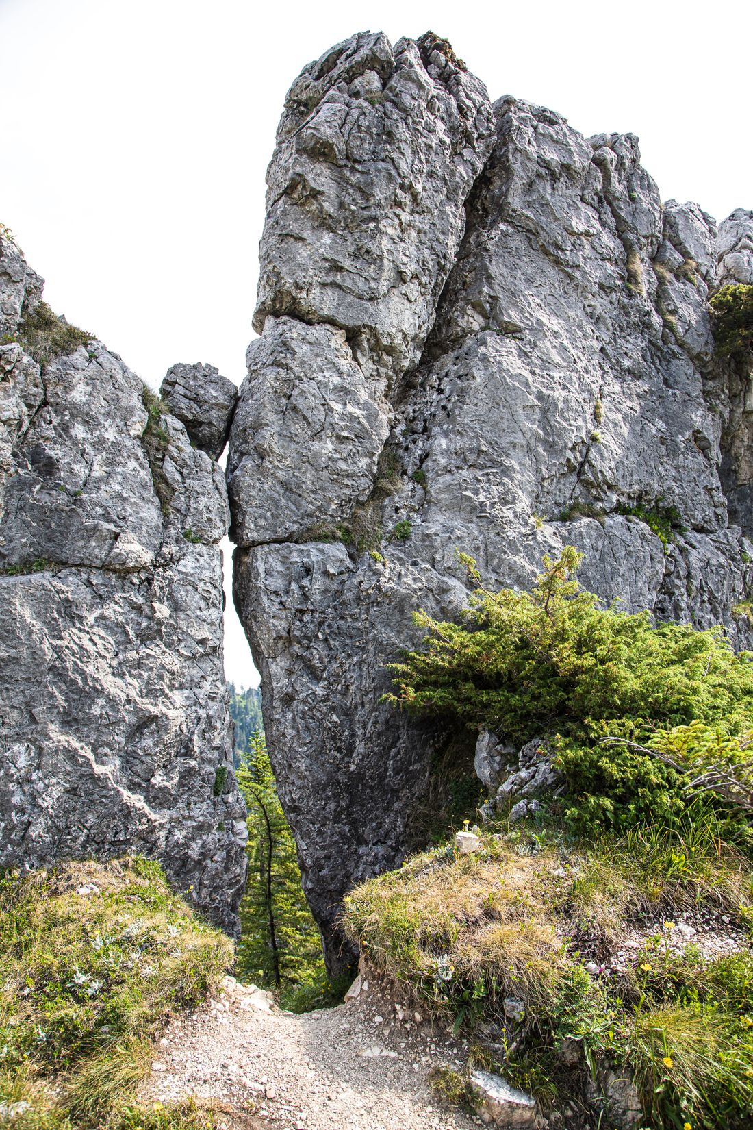 Wandern in Ruhpolding