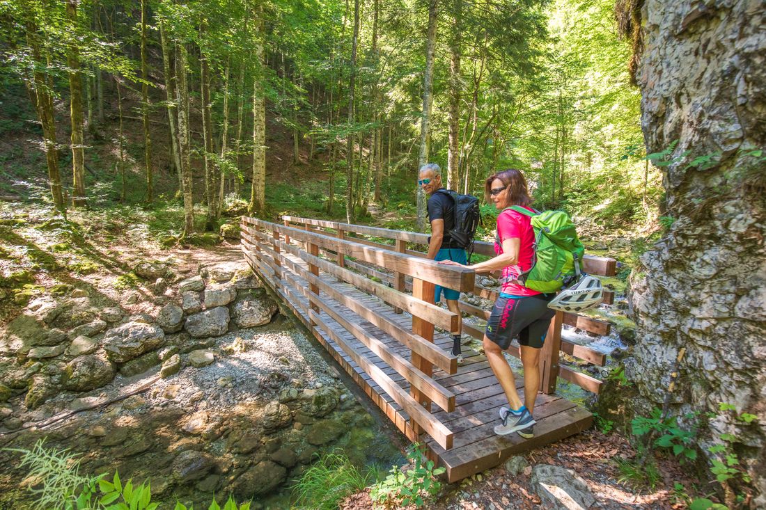 Wanderer überqueren eine Brücke
