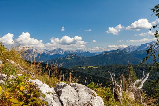 Ausblick