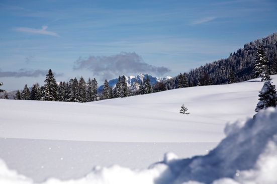 Winterlandschaft Hemmersuppenalm