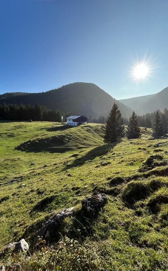 Almsommer auf der Knogleralm