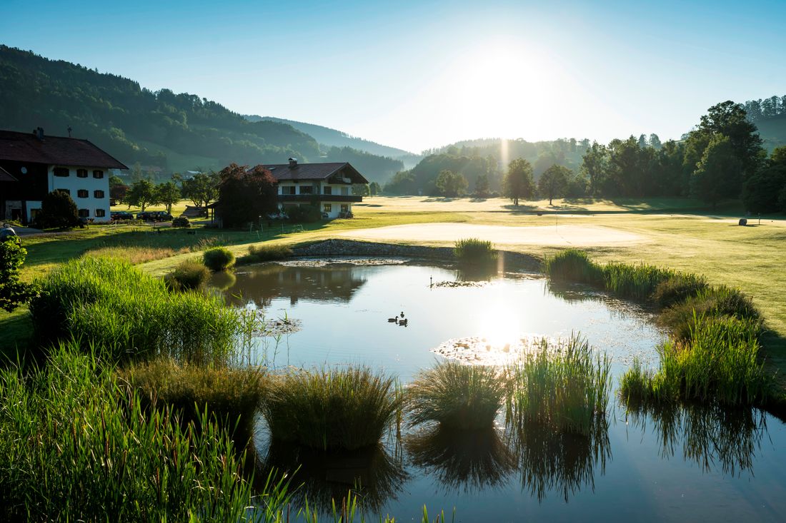 Golfclub, Golfplatz