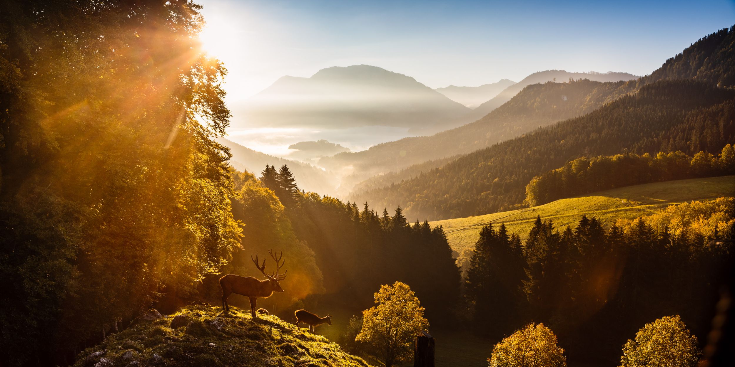 Abendliche Bergstimmung im Herbst