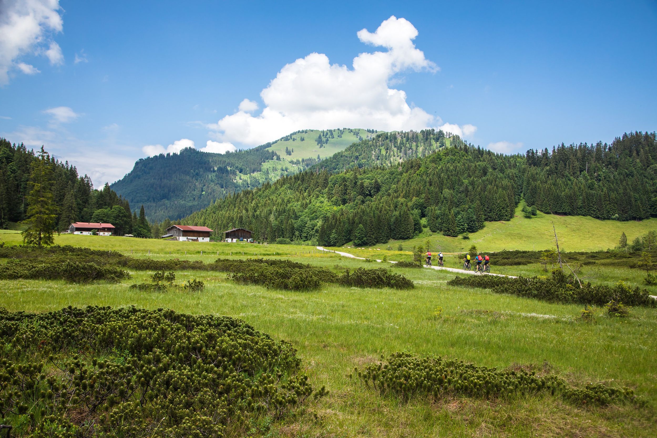 Hochmoor auf der Röthelmoosalm