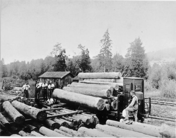 Historische Waldbahn