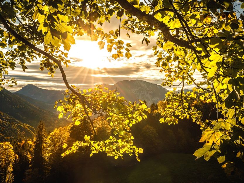 Herbstlicher Bergblick