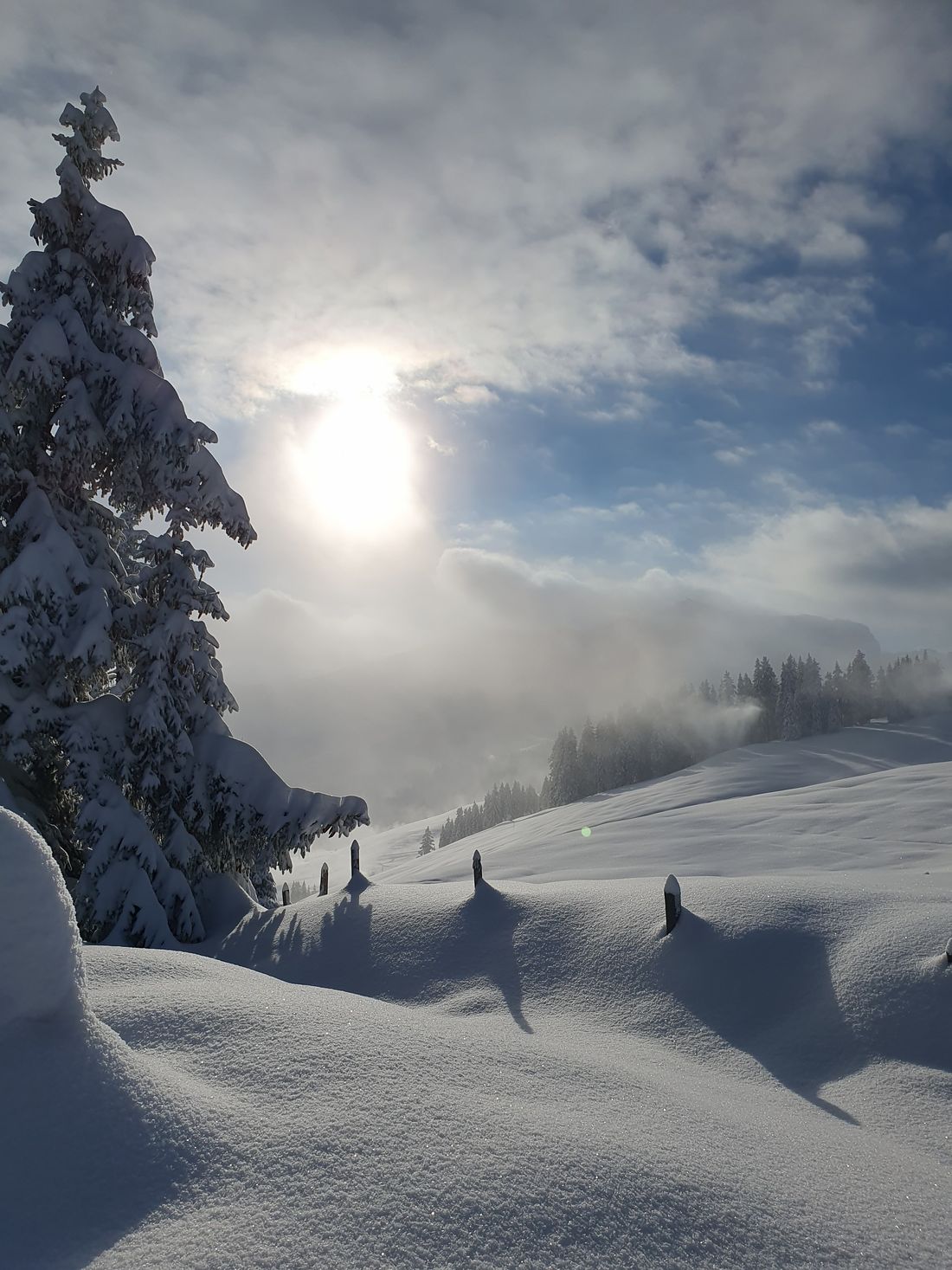 Winterlandschaft Winklmoos-Alm