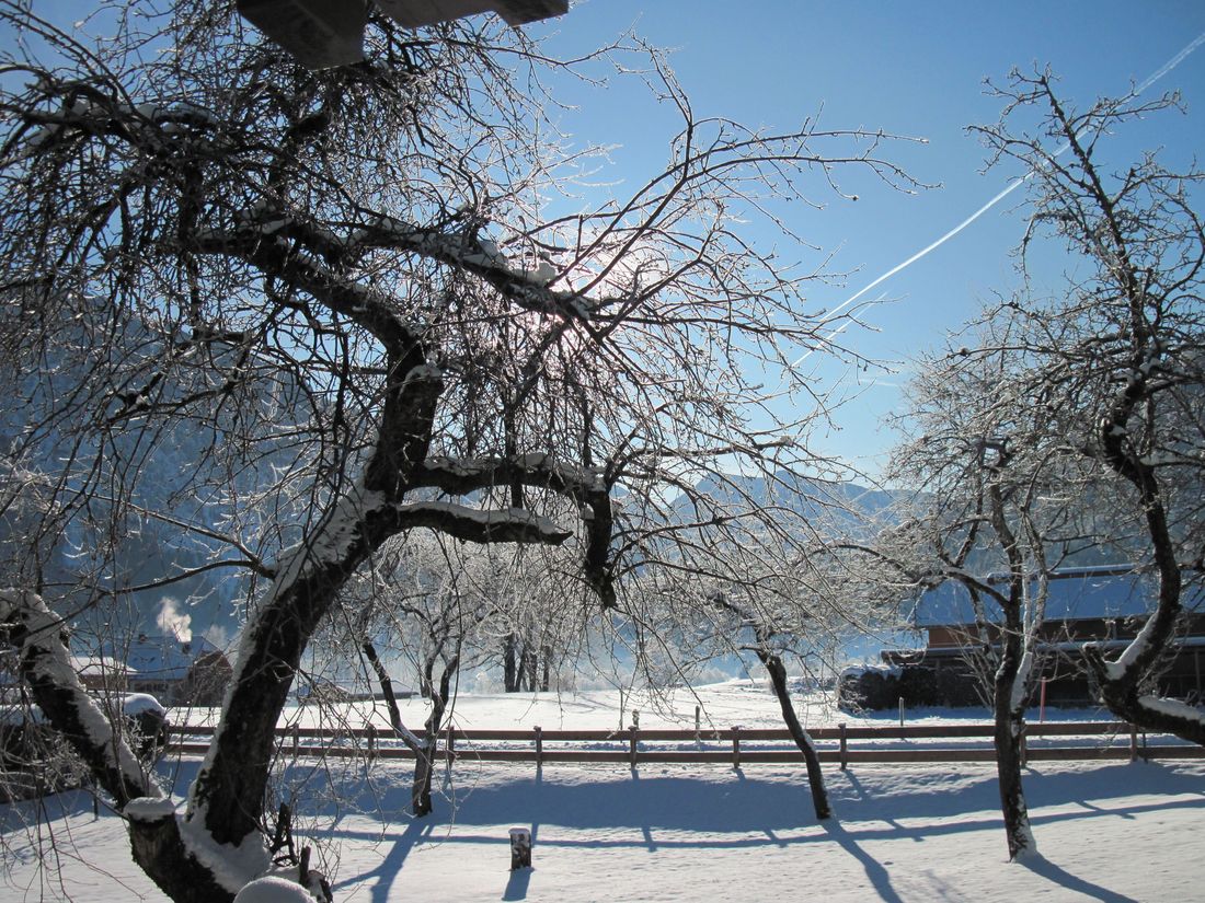 Winter2