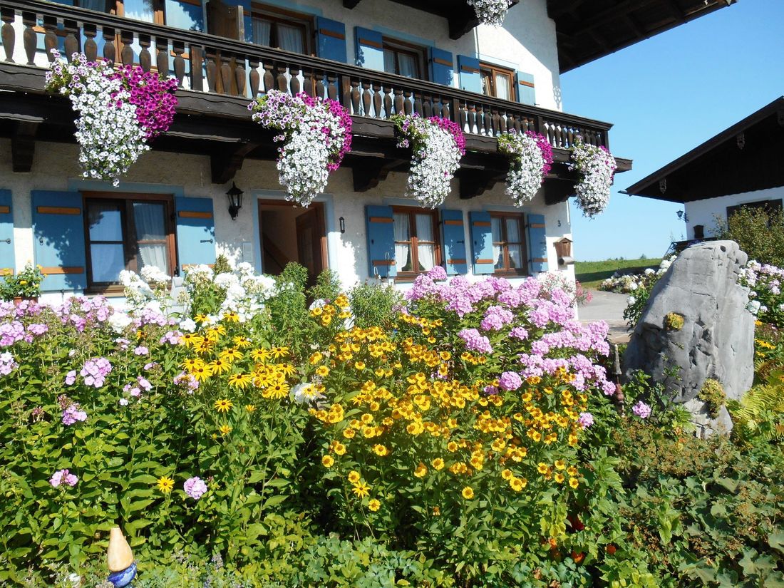 wunderschöner Blumengarten